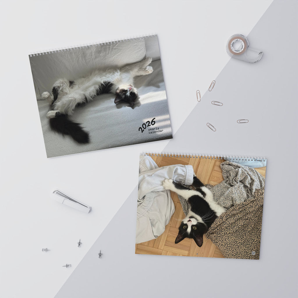 2026 Cute Cats Wall Calendar – Monthly Cat Photo Calendar