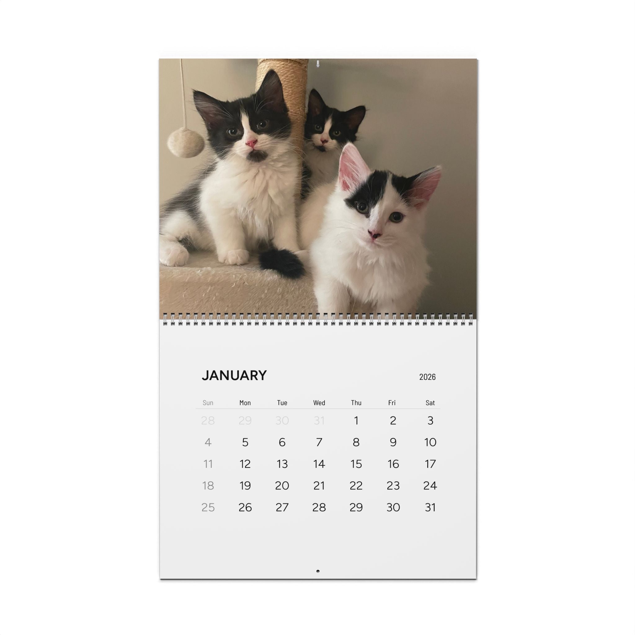 2026 Cute Cats Wall Calendar – Monthly Cat Photo Calendar