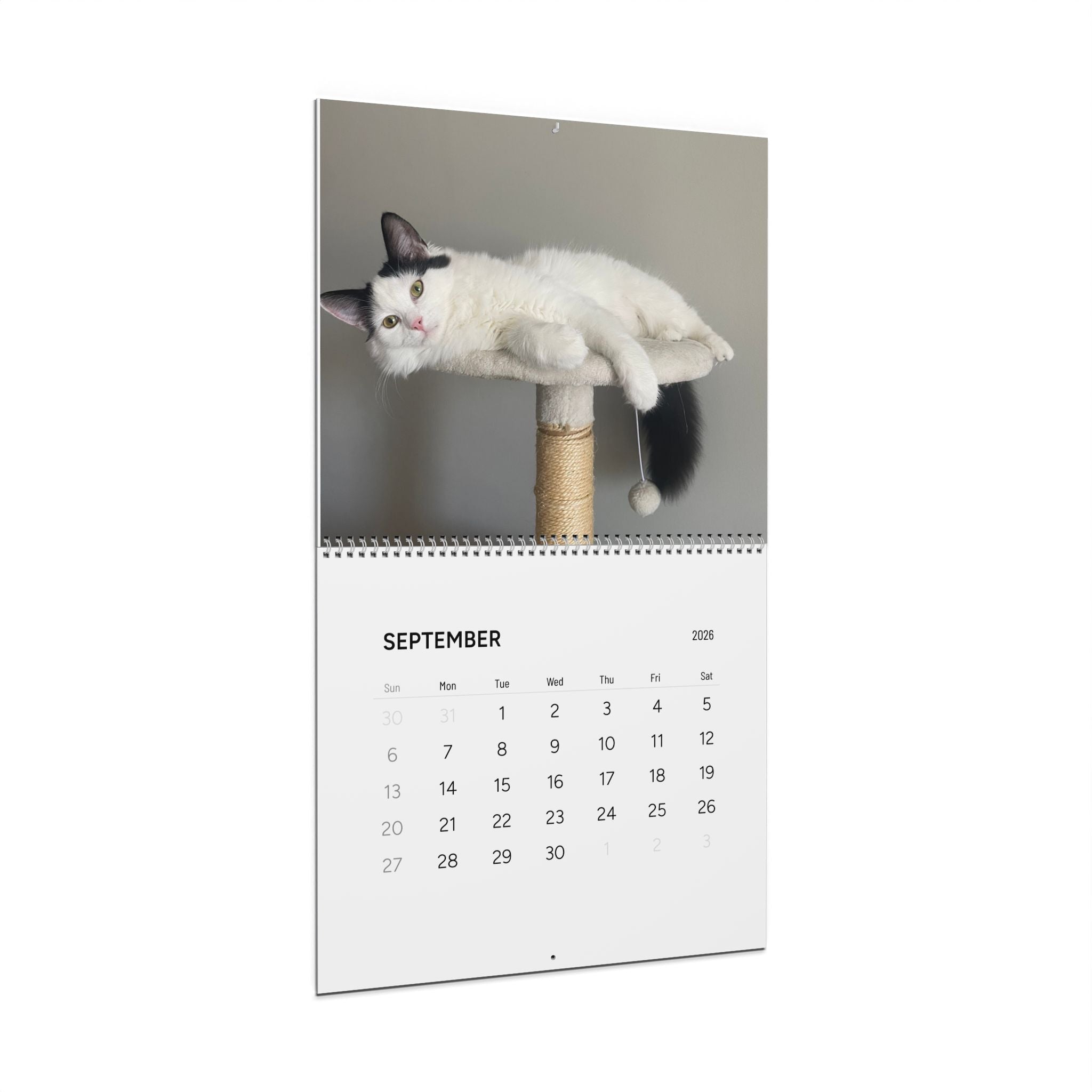 2026 Cute Cats Wall Calendar – Monthly Cat Photo Calendar