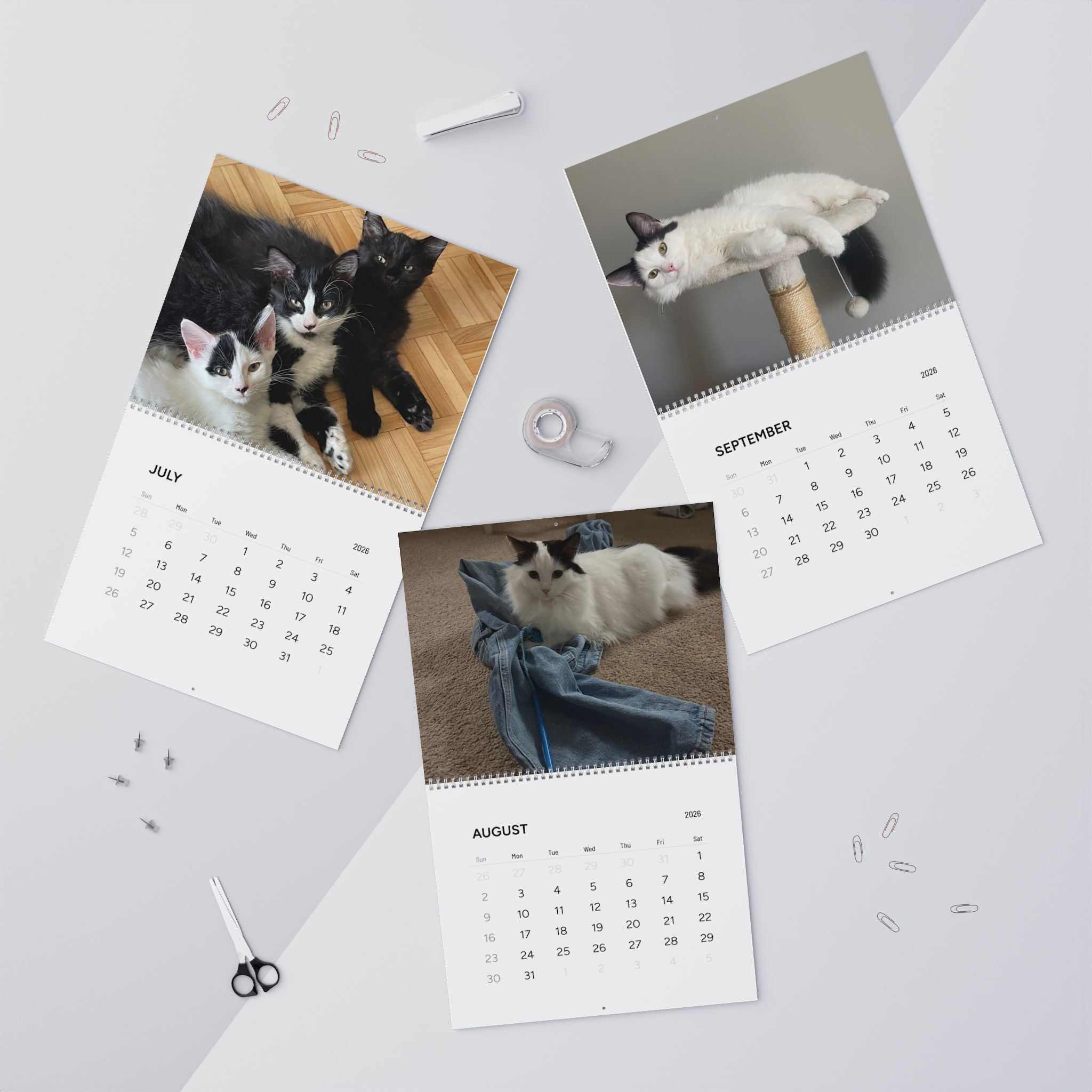 2026 Cute Cats Wall Calendar – Monthly Cat Photo Calendar